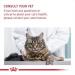 Royal Canin Appetite Control Care Adult Wet Cat Food in Gravy Adult Wet Cat Food 85g (Pack of 48) Meat 48 count (Pack of 1) - Buy Online on GoSupps.com