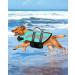 Petbank Life Jacket for Dogs - Adjustable Swimming Vest with Reflector Stripes | Buoyant Swim Suit for Small Medium & Large Dogs - Light Blue - Buy Online on GoSupps.com