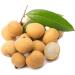 Herbal Cure -Thailand Longan Dried Dimocarpus longan 1lb - Natural Vegan Sifted Clean Fresh - Buy Online on GoSupps.com