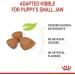 Royal Canin X-SMALL Puppy | 500g | Dry food for very small breed puppies | May contribute to the normal functioning of the immune system | With omega-3 - Buy Online on GoSupps.com