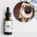Bach® Flower Advice - Bach Flower Mix "Stressed Dog" "ALCOHOL-FREE", Quickly comfort your dog. This is a natural anti-stress for his daily life - Fl 30 ml