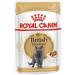 Royal Canin British Shorthair in GRAVY Wet Adult Cat Food (24 x 85g) - Buy Online on GoSupps.com