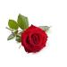 Rose - Thai aroma oil - 100ml - massage oil with the scent of Thailand - Rose oil