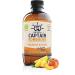 Gutsy Captain Kombucha - Raw Vegan Kombucha Tea with Live Cultures (12 x 400ml Mix Box) - No Preservatives Unpasteurized International Shipping - Buy Online on GoSupps.com