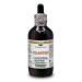 Hawaii Pharm Europe Cilantro (Coriandrum Sativum) Dry Leaf Alcohol-Free Liquid Extract Glycerite 120 ml 120 ml (Pack of 1)