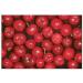 Acerola POWDER 250g Malphighia punicifolia - Buy Online on GoSupps.com