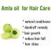 Crysalis Amla (Phyllanthus Emblica) Oil|100% Pure & Natural Undiluted Essential Oil Organic Standard For Skin & Hair Care|Therapeutic Grade Oil Healthy Hair Nourishes Scalp (50ml) - Buy Online on GoSupps.com
