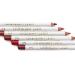 NATASHA MOOR Legendary Lip Liner Unbreakable - Champion Shade - Buy Online on GoSupps.com