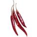 Laprovecom Chili Del rbol whole highquality sundried 30 g - Buy Online on GoSupps.com
