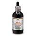 Wild lettuce (Lactuca Virosa) dried herb ALCOHOL-FREE liquid extract glycerite 120 ml 120 ml (1 pack)