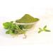 SEP AL MASNOON Tulsi Powder - Buy Online on GoSupps.com