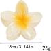 Hawaiian Plumeria Flower Clips Bridal Wedding Party Beach Hair Clips Acrylic Petals Hair Clamp - Buy Online on GoSupps.com