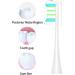 10 Replacement Electric Toothbrush Heads for OCLEAN | Compatible Plug-In Brushes for Alloclean | White Brush Heads - Buy Online on GoSupps.com
