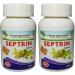 Metrol Ayurveda Herbal Septrin Tablets - 120 Tablets for Natural Immune Support - Buy Online on GoSupps.com