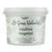 GRAN VELADA Plant-based inulin - Capacity: 100 ml