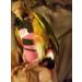 Kuso XL Reusable Washable Diapers for Parrots | Aviation Suit Kimono & Clothing for Birds - Budgies Cockatoos African Grey & More (Pink) - Buy Online on GoSupps.com