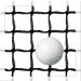 Amazgolf Heavy Duty Golf Net - 10x10ft Sports Practice Barrier Netting for DIY Ball Hitting - Adjustable & Durable - Buy Online on GoSupps.com