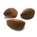 Buy Premium Raw Brazil Nuts In Shell - 10 lbs | Keto Vegan Non-GMO | High-Protein Snack | Convenient Packaging by Presto Sales - Buy Online on GoSupps.com