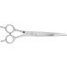Blunt Blade Hair Cutting Scissors Made of Stainless Steel Ergonomic Design for Home and Hairdressing Salon - Buy Online on GoSupps.com
