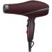 JYYBN 1600W Professional Salon Hair Dryer Fast Hair Dryer Healthy Ionic Hairdryer 2 Speed 3 Heat Settings A Key Cold Shot Button 2.2 Long Cable Overheating Protection for Home or Salon
