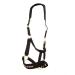 Back on Track Halfer Werano Pony