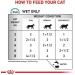 Royal Canin Veterinary Cat Sensitivity Control 12x85g - Buy Online on GoSupps.com