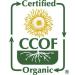 McCabe Organic Black Bean w/Green 2 lb - USDA & CCOF Certified - 32 oz Pack - Buy Online on GoSupps.com