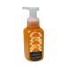 Bath & Body Works Limoncello & Cucumber Melon Hand Soap Gift Set - 8.75 fl oz 2-Piece with Red Bow - Perfect for Holidays & International Shipping - Buy Online on GoSupps.com
