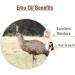 Crysalis Emu (Dromaius Novaehollandiae) Oil|100% Pure & Natural Undiluted Essential Oil Organic Standard for Skin & Hair Care|for Face & Skin| Improves Hair Texture & Smoothness - 15ML with Dropper Emu 15 ml (Pack of 1) - Buy Online on GoSupps.com