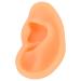 Soft Lifelike Silicone Flexible Left Ear Display Mould for Hospitals - Buy Online on GoSupps.com