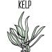 The Missing Link Pet Kelp Limited Ingredient Superfood Powder Supplement for Dogs - Probiotic - 227g - Buy Online on GoSupps.com