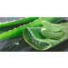Organic Aloe Vera Powder - Premium Quality for Face, Hair, Smoothies & Baking - 100g - Buy Online on GoSupps.com
