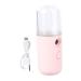 Didiseaon 1pc Face Facial Charging Nano Women Plastic Handy Practical Portable USB Sprayer Steamer Beauty 14.5X4CM