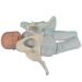 Slrmkk female pelvic birthday - life -size birth demonstration pelvic model - standard birth simulator with models of the baby pool with removable placenta navel cord