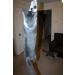 Purrs Mouse attachment- Fits PurrSuit Frenzy & DaBird wand Cat Toys - Buy Online on GoSupps.com