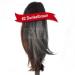 RemyHaar.eu - 30cm hairpiece braid ponytail hair extension straight - 30cm 12" (100g clip) 2#(dark brown)