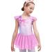 Boyoo Girls Ruffle Sleeve Ballet Leotard with Tutu Skirt Sparkle Ballet Dance Dress for 3-11 Years Pink Butterfly 8-9 Years