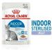 Royal Canin Indoor Sterilised in Jelly Adult Wet Cat Food 85g (Pack of 48) - Buy Online on GoSupps.com