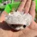 Choice of Gifts 1PC Natural White Crystal Crystal Cluster Rough Stone Carving Little Hedgehog Vibration Stone JZIGTDEM - Buy Online on GoSupps.com