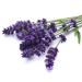 Lavanda Set of 3 Pure Natural Lavender Soaps - 4.4 oz Italian Import - Best Luxury Bath Products Online - Buy Online on GoSupps.com