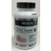 Renew Actives Premium Organic Lion's Mane Mushroom - Supports Brain Function Memory Focus Stress Relief and Immune Health Gluten-Free Non-GMO Vegan Made in Canada - 120 Capsules (2pk) 120 count (Pack of 2) - Buy Online on GoSupps.com