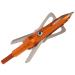 RAGE Crossbow X, 2-Blade Archery Arrow Broadhead 100 Grain