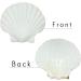 10PCS 4-5 inch XL Large Scallop Shells - Natural White Sea Shells for DIY Crafts - Buy Online on GoSupps.com