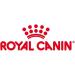Royal Canin Coat Care Loaf | 12 x 85 g | Complete Food for Adult Dogs of All Breeds | May Help Support Healthy Skin and Coat - Buy Online on GoSupps.com