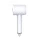 Negative Ion Hair Dryer Low Radiation Hair Dryer Hair Salon Anti-Portable Hair Dryer Intelligent Negative Ion Hair Dryer/White (White)