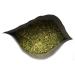 BIO Moringa Leaves Organic | Loose Herbal Tea | Well Sifted | Rich in Proteins | Egyptian| 500G - Buy Online on GoSupps.com
