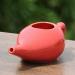 Ancient Impex Ceramic Neti Pot with 5 Neti Salt Sachets - Natural Sinus Infection Relief | Red Crackle Pattern - Buy Online on GoSupps.com