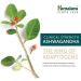 Himalaya Ashwagandha 90 Caplets - Natural Stress Relief & Energy Boost - Buy Online on GoSupps.com