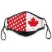 Canadian Pride Non-Medical Face Mask Set Featuring 4 Patriotic Designs That Includes A Free Bradford Exchange Zippered Carrying Case - Buy Online on GoSupps.com