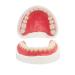 Do It Yourself Denture Fake Teeth Top and Bottom Temporary Teeth for Improve Smiling